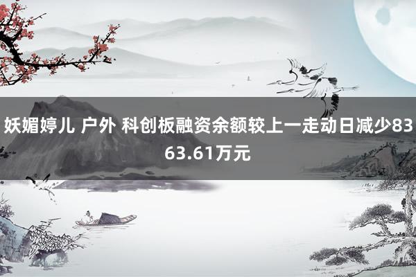 妖媚婷儿 户外 科创板融资余额较上一走动日减少8363.61万元