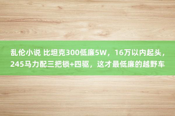 乱伦小说 比坦克300低廉5W，16万以内起头，245马力配三把锁+四驱，这才最低廉的越野车