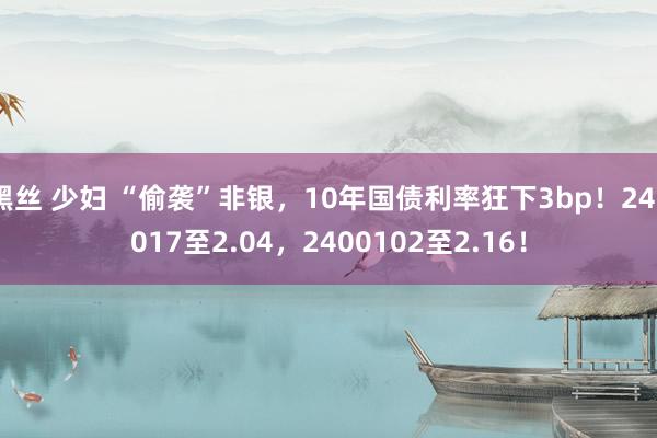 黑丝 少妇 “偷袭”非银，10年国债利率狂下3bp！240017至2.04，2400102至2.16！