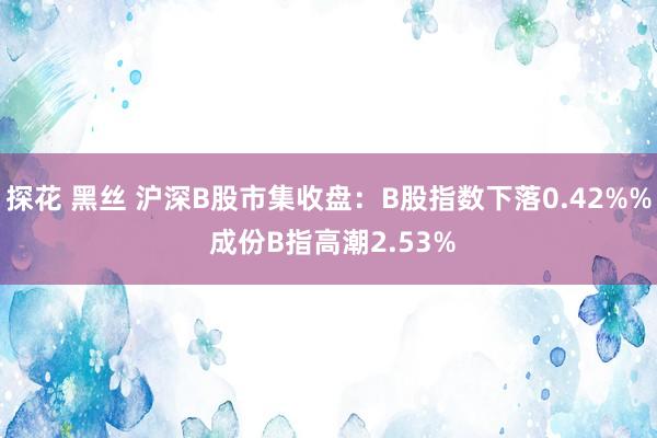 探花 黑丝 沪深B股市集收盘：B股指数下落0.42%% 成份B指高潮2.53%