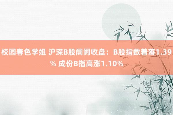 校园春色学姐 沪深B股阛阓收盘：B股指数着落1.39% 成份B指高涨1.10%