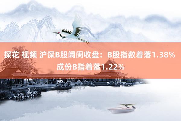 探花 视频 沪深B股阛阓收盘：B股指数着落1.38% 成份B指着落1.22%