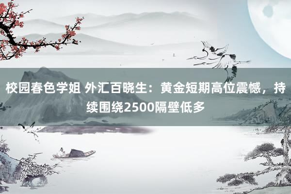 校园春色学姐 外汇百晓生：黄金短期高位震憾，持续围绕2500隔壁低多