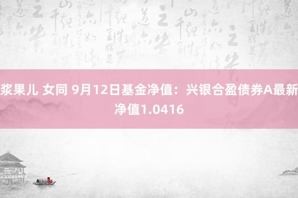 浆果儿 女同 9月12日基金净值：兴银合盈债券A最新净值1.0416