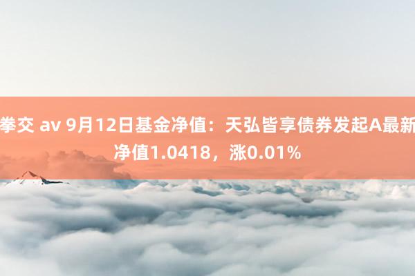 拳交 av 9月12日基金净值：天弘皆享债券发起A最新净值1.0418，涨0.01%