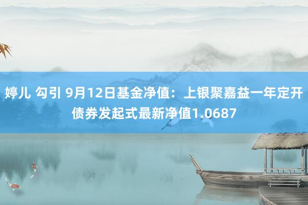 婷儿 勾引 9月12日基金净值：上银聚嘉益一年定开债券发起式最新净值1.0687