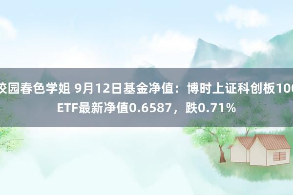 校园春色学姐 9月12日基金净值：博时上证科创板100ETF最新净值0.6587，跌0.71%