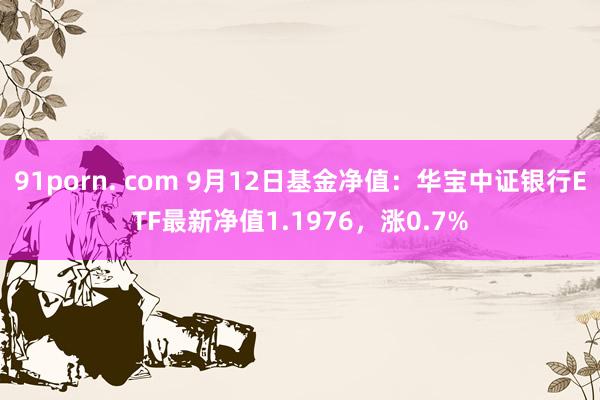 91porn. com 9月12日基金净值：华宝中证银行ETF最新净值1.1976，涨0.7%