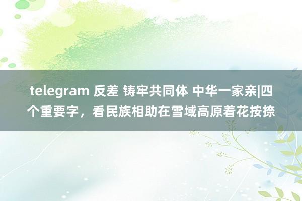 telegram 反差 铸牢共同体 中华一家亲|四个重要字，看民族相助在雪域高原着花按捺