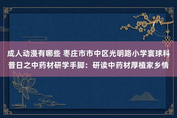 成人动漫有哪些 枣庄市市中区光明路小学寰球科普日之中药材研学手脚：研读中药材厚植家乡情