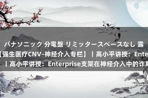 パナソニック 分電盤 リミッタースペースなし 露出・半埋込両用形 【强生医疗CNV-神经介入专栏】丨高小平讲授：Enterprise支架在神经介入中的诈欺