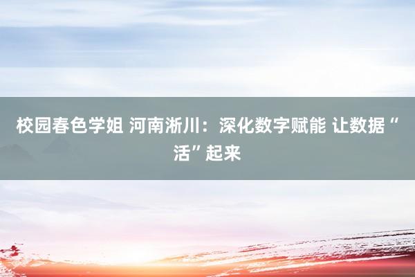 校园春色学姐 河南淅川：深化数字赋能 让数据“活”起来