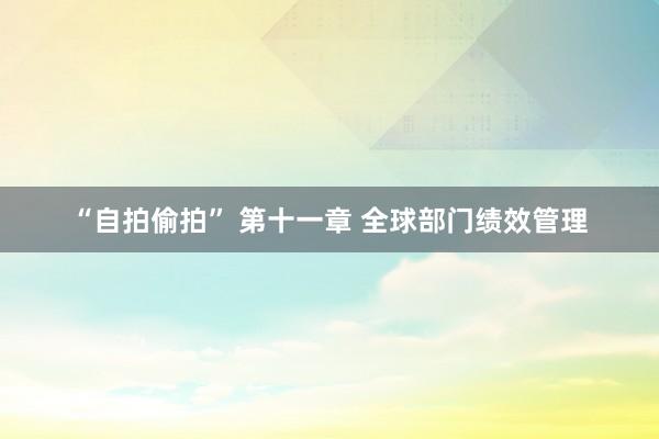 “自拍偷拍” 第十一章 全球部门绩效管理