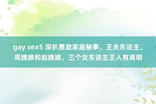 gay sex5 深扒贾政家庭秘事，王夫东谈主、周姨娘和赵姨娘，三个女东谈主王人有高明