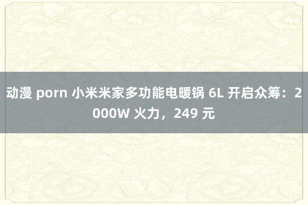 动漫 porn 小米米家多功能电暖锅 6L 开启众筹：2000W 火力，249 元