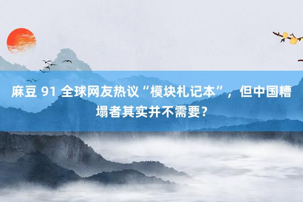 麻豆 91 全球网友热议“模块札记本”，但中国糟塌者其实并不需要？