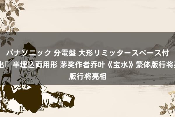 パナソニック 分電盤 大形リミッタースペース付 露出・半埋込両用形 茅奖作者乔叶《宝水》繁体版行将亮相