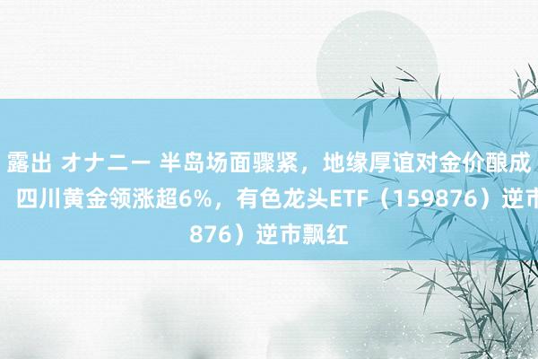 露出 オナニー 半岛场面骤紧，地缘厚谊对金价酿成复旧，四川黄金领涨超6%，有色龙头ETF（159876）逆市飘红