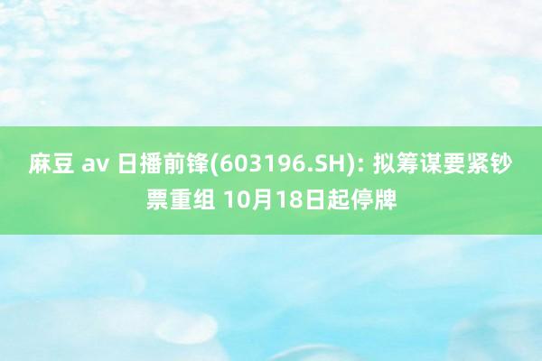 麻豆 av 日播前锋(603196.SH): 拟筹谋要紧钞票重组 10月18日起停牌