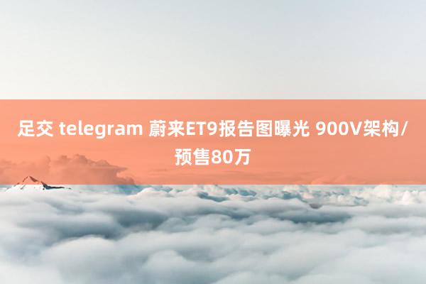 足交 telegram 蔚来ET9报告图曝光 900V架构/预售80万