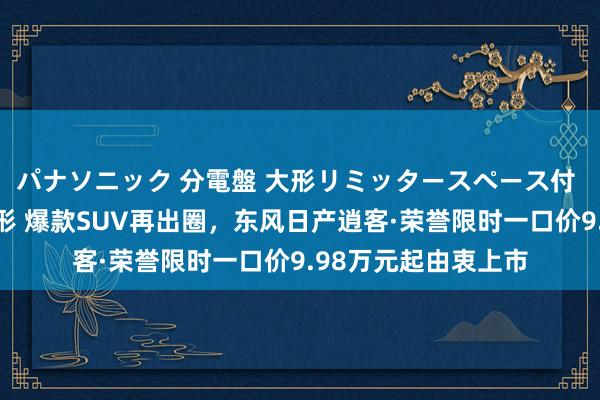 パナソニック 分電盤 大形リミッタースペース付 露出・半埋込両用形 爆款SUV再出圈，东风日产逍客·荣誉限时一口价9.98万元起由衷上市