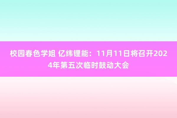 校园春色学姐 亿纬锂能：11月11日将召开2024年第五次临时鼓动大会