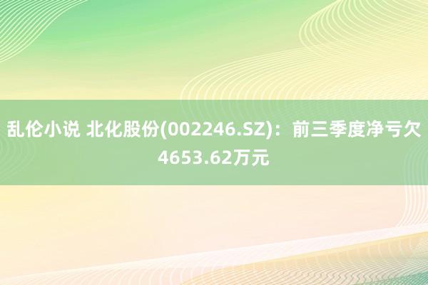 乱伦小说 北化股份(002246.SZ)：前三季度净亏欠4653.62万元