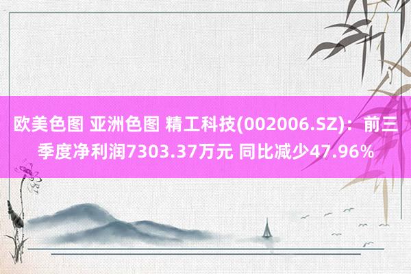 欧美色图 亚洲色图 精工科技(002006.SZ)：前三季度净利润7303.37万元 同比减少47.96%