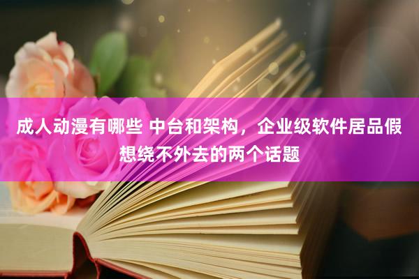 成人动漫有哪些 中台和架构，企业级软件居品假想绕不外去的两个话题