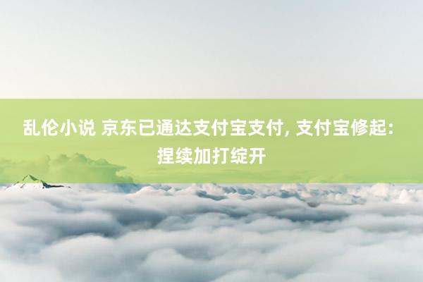 乱伦小说 京东已通达支付宝支付， 支付宝修起: 捏续加打绽开