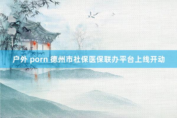 户外 porn 德州市社保医保联办平台上线开动