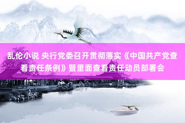 乱伦小说 央行党委召开贯彻落实《中国共产党查看责任条例》暨里面查看责任动员部署会