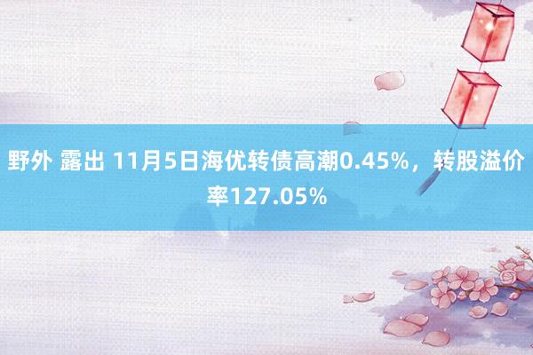 野外 露出 11月5日海优转债高潮0.45%，转股溢价率127.05%