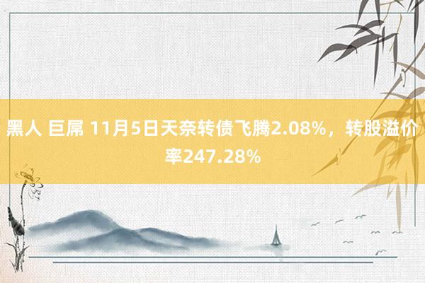 黑人 巨屌 11月5日天奈转债飞腾2.08%，转股溢价率247.28%