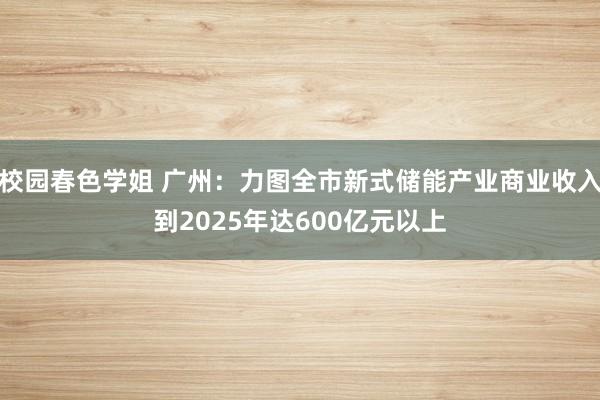 校园春色学姐 广州：力图全市新式储能产业商业收入到2025年达600亿元以上