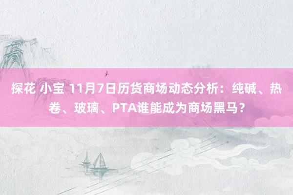 探花 小宝 11月7日历货商场动态分析：纯碱、热卷、玻璃、PTA谁能成为商场黑马？