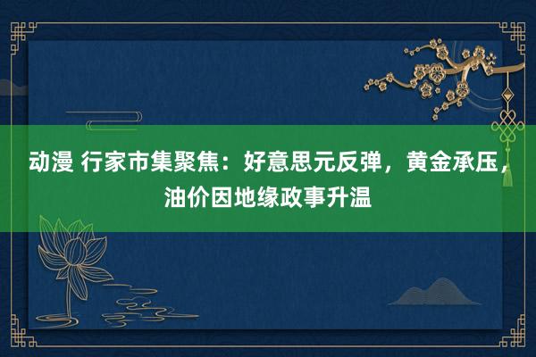 动漫 行家市集聚焦：好意思元反弹，黄金承压，油价因地缘政事升温