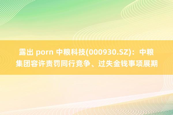 露出 porn 中粮科技(000930.SZ)：中粮集团容许责罚同行竞争、过失金钱事项展期