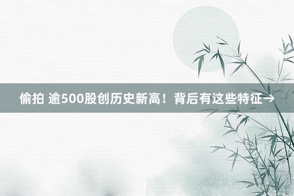 偷拍 逾500股创历史新高！背后有这些特征→