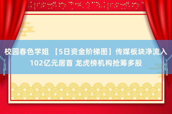 校园春色学姐 【5日资金阶梯图】传媒板块净流入102亿元居首 龙虎榜机构抢筹多股