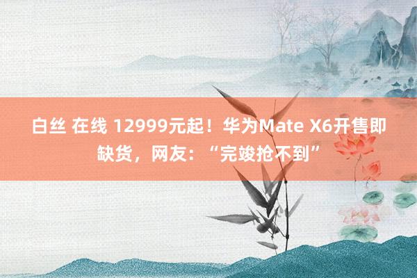 白丝 在线 12999元起！华为Mate X6开售即缺货，网友：“完竣抢不到”