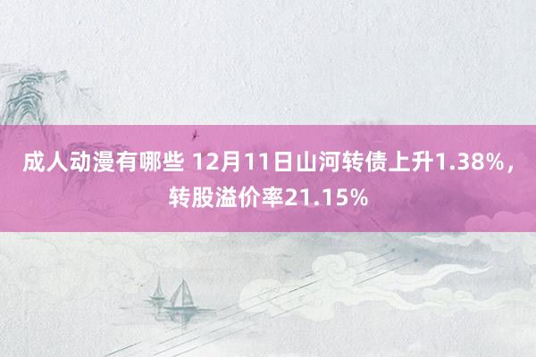 成人动漫有哪些 12月11日山河转债上升1.38%，转股溢价率21.15%