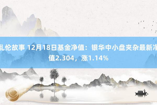 乱伦故事 12月18日基金净值：银华中小盘夹杂最新净值2.304，涨1.14%