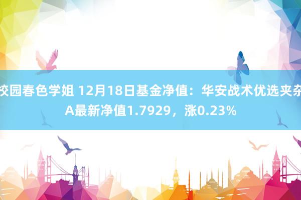 校园春色学姐 12月18日基金净值：华安战术优选夹杂A最新净值1.7929，涨0.23%