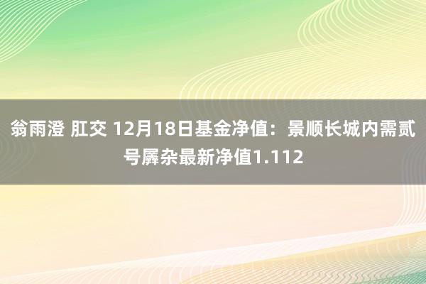 翁雨澄 肛交 12月18日基金净值：景顺长城内需贰号羼杂最新净值1.112