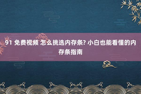 91 免费视频 怎么挑选内存条? 小白也能看懂的内存条指南