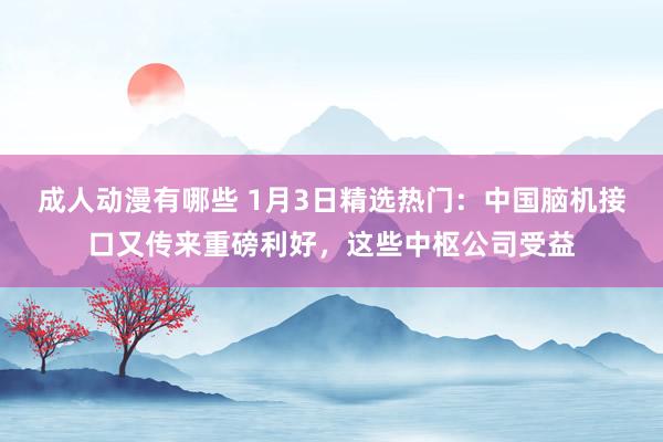 成人动漫有哪些 1月3日精选热门：中国脑机接口又传来重磅利好，这些中枢公司受益