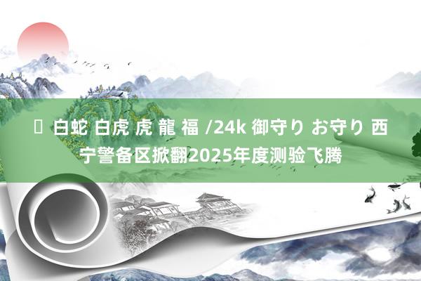 ✨白蛇 白虎 虎 龍 福 /24k 御守り お守り 西宁警备区掀翻2025年度测验飞腾