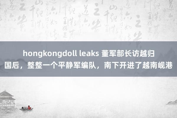 hongkongdoll leaks 董军部长访越归国后，整整一个平静军编队，南下开进了越南岘港