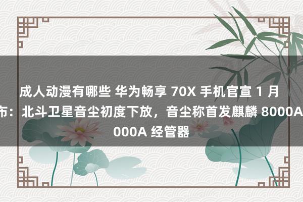 成人动漫有哪些 华为畅享 70X 手机官宣 1 月 3 日发布：北斗卫星音尘初度下放，音尘称首发麒麟 8000A 经管器